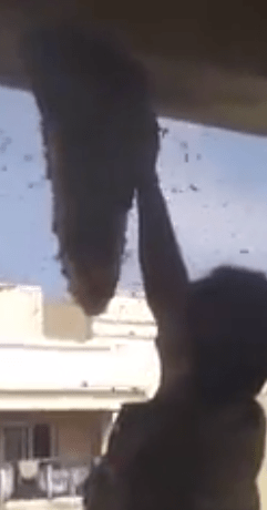 Screen Shot 2015-06-08 at 9.10.14 AM