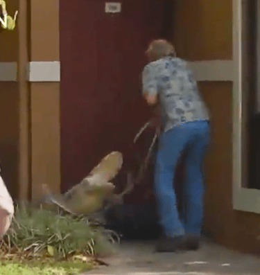 Screen Shot 2015-06-15 at 12.53.00 PM