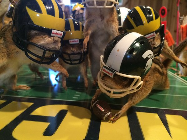 This photo taken Monday, Oct. 26, 2015, shows stuffed chipmunks portraying players on the final play of the Michigan State-Michigan NCAA college football game at the home of taxidermist Nick Saade in Lansing, Mich.  Michigan State's Jalen Watts-Jackson returned a fumble for the game-winning touchdown on Oct. 17. Saade tells the Lansing State Journal that the chipmunks were trapped by friends as nuisance animals.  Saade’s first piece sold to a Wolverine fan in New Jersey for $1,500. This one is for sale at the same price, he said.