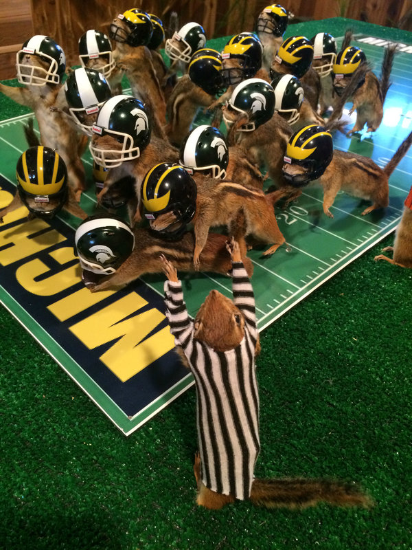 This photo taken Monday, Oct. 26, 2015, shows stuffed chipmunks portraying players on the final play of the Michigan State-Michigan NCAA college football game at the home of taxidermist Nick Saade in Lansing, Mich.  Michigan State's Jalen Watts-Jackson returned a fumble for the game-winning touchdown on Oct. 17. Saade tells the Lansing State Journal that the chipmunks were trapped by friends as nuisance animals. (Judy Putnam/Lansing State Journal via AP)  NO SALES; MANDATORY CREDIT