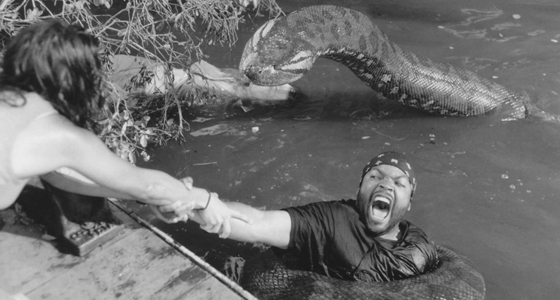 BREVARD COUNTY, Fla. —Florida Fish and Wildlife Conservation Commission officials said thanks to a quick report from a fisherman, a nine-foot-long green anaconda was euthanized before escaping into the water in Brevard County on Monday. FWC officials posted a photo of the non-native constrictor on their Facebook page Wednesday. According to FWC, the fisherman reported seeing a "very large snake" at the St. Johns River, near the Brevard-Orange county line. When officers arrived, they found the green anaconda on the riverbank. FWC officers were able to kill the snake before it escaped into the water. Officials said the green anaconda and seven other reptile species are considered dangerous to the ecology and/or health and welfare of the people of Florida. In Florida, green anacondas can only be possessed for research, commercial use or public exhibition purposes. Since the snake was not tagged as required by state law for the species, it's unclear how long the snake was in the wild.