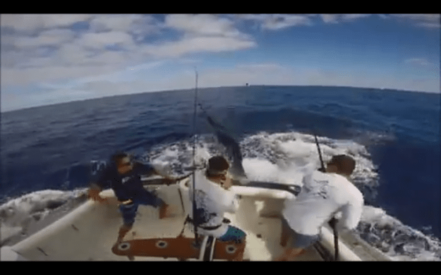 Screen Shot 2016-01-07 at 2.27.09 PM