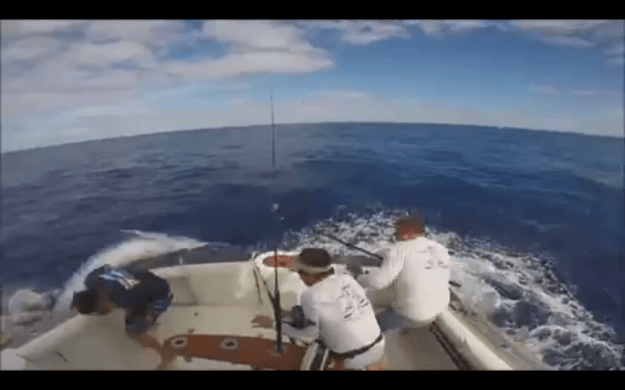 Screen Shot 2016-01-07 at 2.27.10 PM