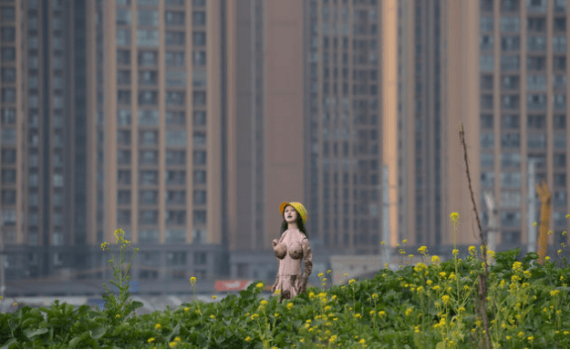 Source- A farmer keeps pests away using a scarecrow made from an inflatable sex doll. The muddy sex doll also wears a yellow safety helmet and has reportedly been effective at scaring off birds – as well as people. The stark-naked blow-up doll is thought to have belonged to a worker at a construction site near the field in Chengdu, capital of China’s south-western Sichuan Province. It was then found by a local rapeseed farmer, who stood it up in the patch of greenery in order to ward off crows and other unwanted pests.