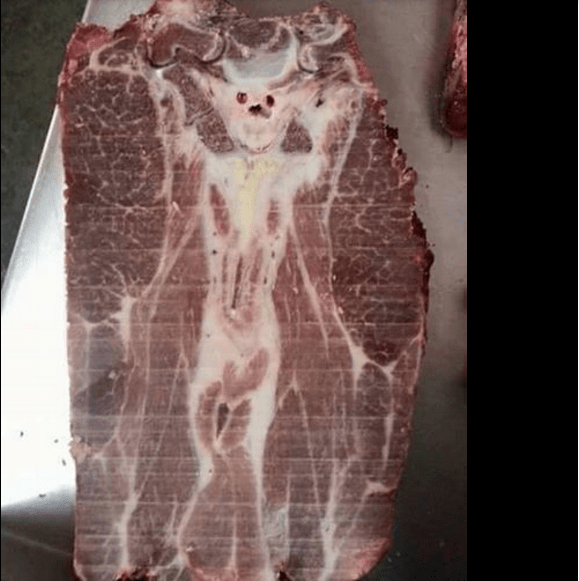 Screen Shot 2016-03-26 at 4.11.20 PM