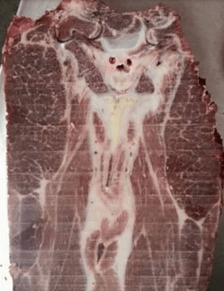 Screen Shot 2016-03-26 at 4.11.29 PM