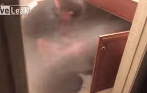 jan-02-2017-16-19-57